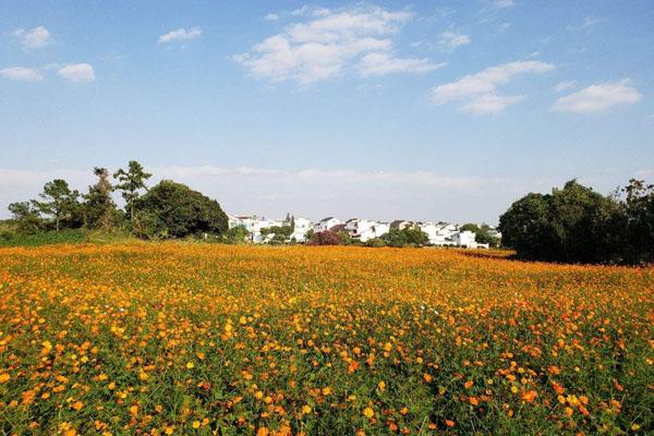 南京高淳国际慢城旅游度假区要门票吗 门票多少钱