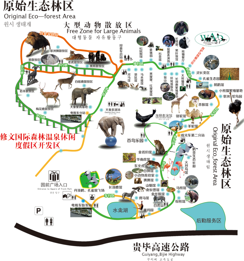 2024贵阳森林野生动物园游玩攻略-门票价格-景点信息