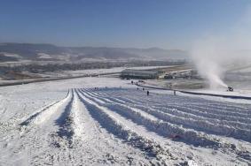 东村滑雪公园