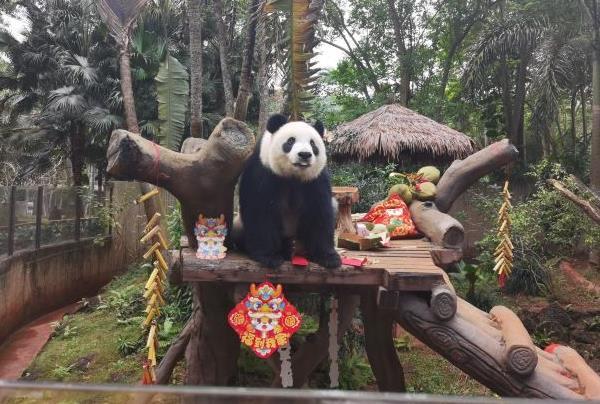 海南热带野生动植物园值得去吗