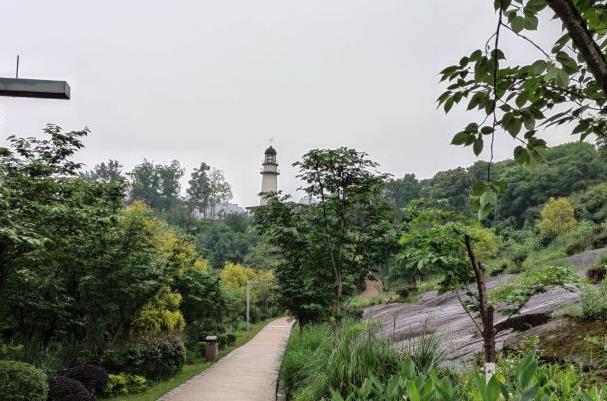 重庆初夏赏花的地方有哪些