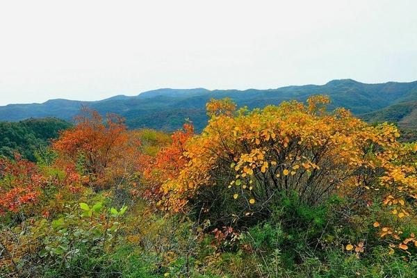 2024韩城香山红叶旅游攻略 - 门票 - 交通 - 天气