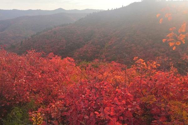 2024韩城香山红叶旅游攻略 - 门票 - 交通 - 天气