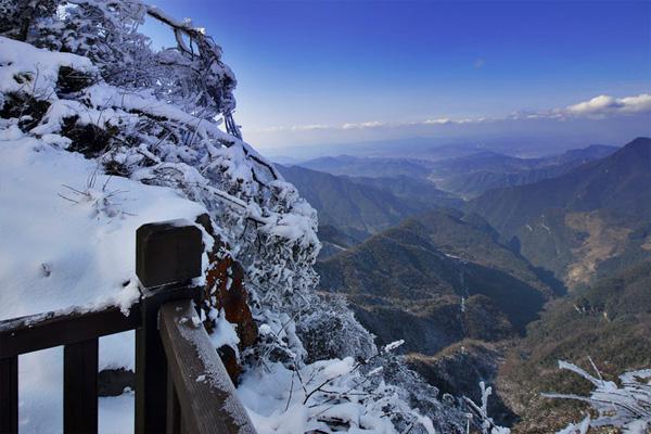 重庆金佛山下雪了吗2021