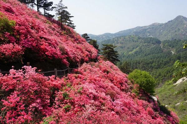 黄陂木兰云雾山民宿推荐 木兰云雾山风景区住宿推荐