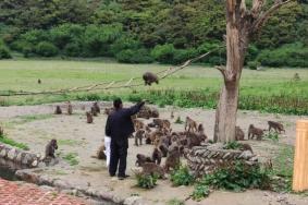 林则生态文化旅游景区