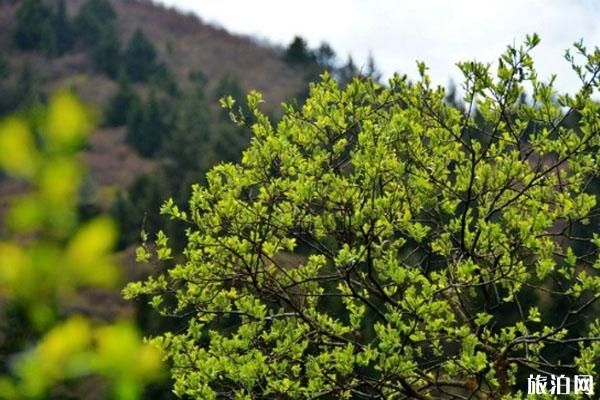 2022海东雄先岗山生态旅游景区游玩攻略 - 门票 - 交通