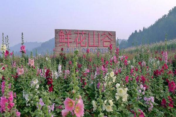 2023成都鲜花山谷旅游攻略 - 门票价格  - 开放时间 - 景点介绍 - 简介 - 交通 - 地址 - 天气