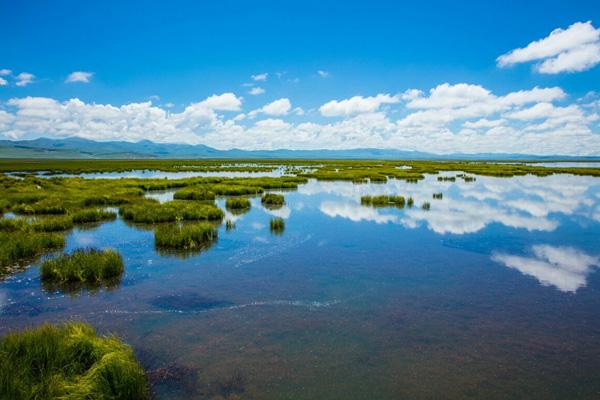 2023若尔盖大草原旅游攻略 - 门票价格 - 自驾游攻略 - 开放时间 - 景点介绍 - 自助游路线 - 住宿 - 简介 - 交通 - 地址 - 电话 - 天气