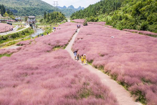 2024神泉谷景区旅游攻略 - 门票价格 - 优惠政策 - 景点介绍 - 电话 - 地址 - 交通 - 天气