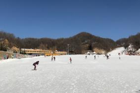 老界岭滑雪场