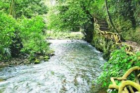 玛柯河原始森林生态旅游景区