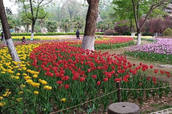 2024宝鸡植物园旅游攻略 - 门票 - 交通 - 天气