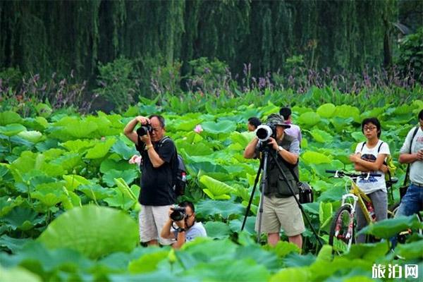 2023成都三圣花乡旅游攻略 - 门票价格 - 景点介绍 - 简介 - 交通 - 地址 - 天气