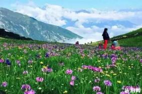 九顶山风景区