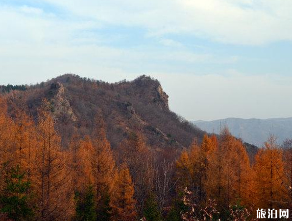 2022年日光山旅游攻略 - 门票 - 交通 - 天气 - 景点介绍