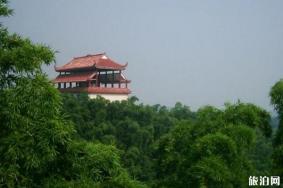 桃花江竹海风景区