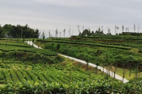 石笋山旅游风景区